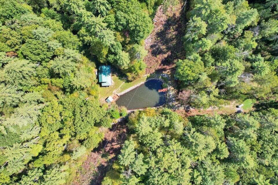 230 Big Towee Road Reliance, TN 37369 - Photo 29 of 32 Towee Rd 4