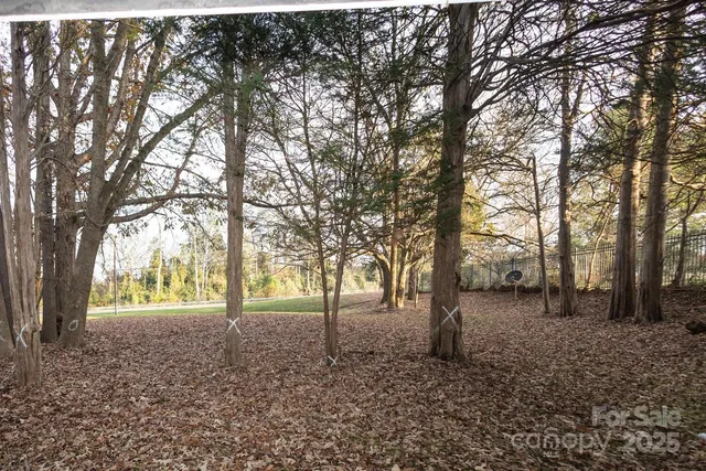 a backyard of a house with lots of green space