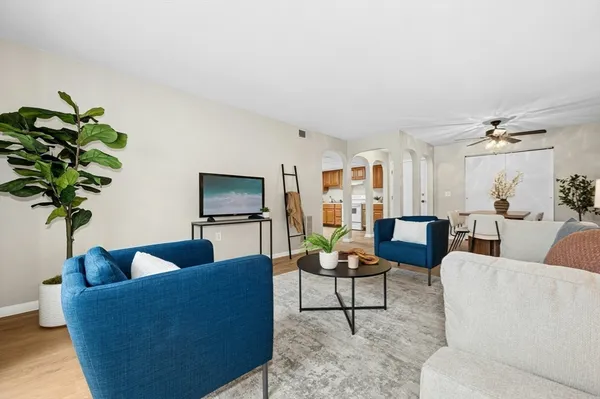 a living room with furniture potted plant and a window