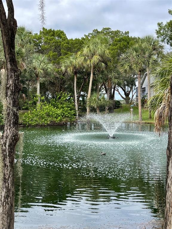 12214 West Restview Court Homosassa, FL 34448 - Photo 11 of 19 a view of a garden