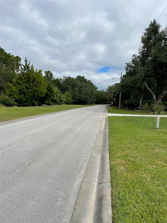 12214 West Restview Court Homosassa, FL 34448 - Photo 14 of 19 a view of a yard with a large trees