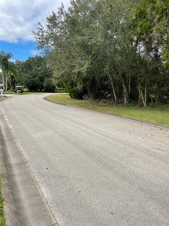 12214 West Restview Court Homosassa, FL 34448 - Photo 15 of 19 a view of a backyard
