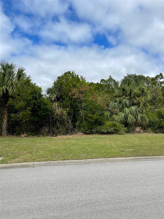 12214 West Restview Court Homosassa, FL 34448 - Photo 16 of 19 a view of a big yard with plants and large trees