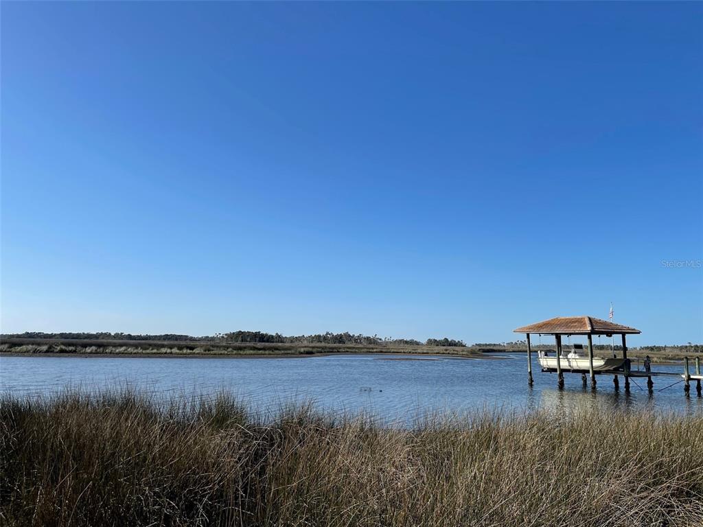 12214 West Restview Court Homosassa, FL 34448 - Photo 19 of 19 a view of lake with green space