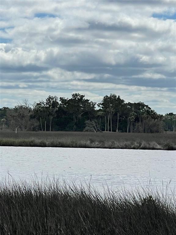 12214 West Restview Court Homosassa, FL 34448 - Photo 9 of 19 a view of a lake with a yard