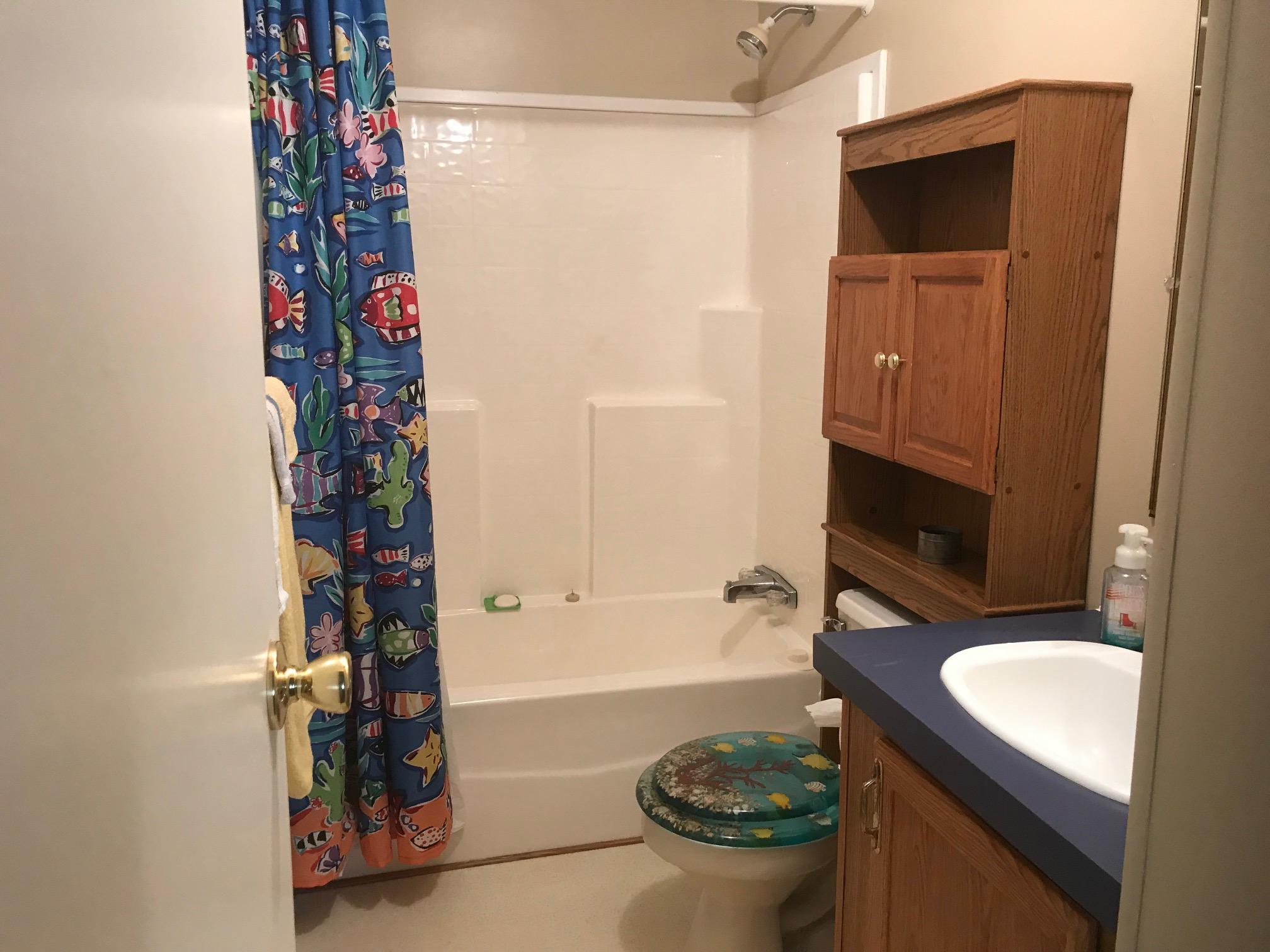 488 Major Holland Road Union Hall, VA 24176 - Photo 27 of 39 27 Hall Bath