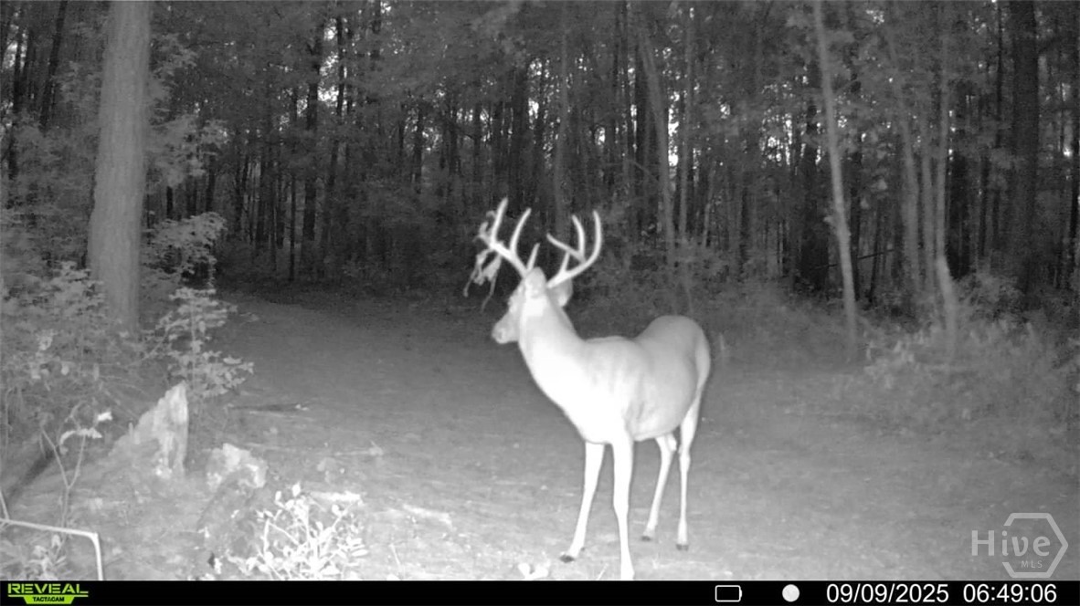 0 Tillman Eason Road Claxton, GA 30417 - Photo 25 of 28