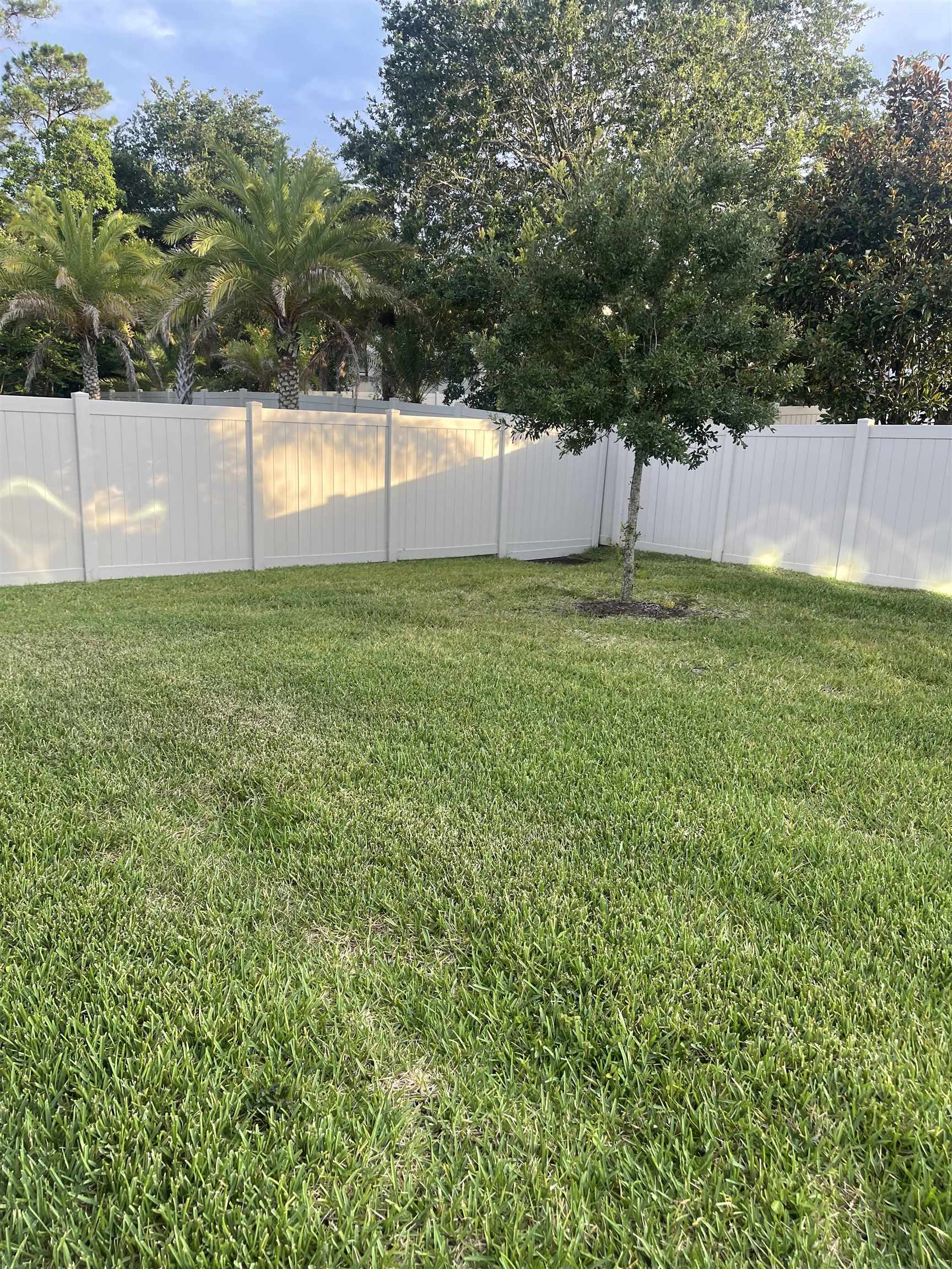 198 Paranza Trace St. Augustine, FL 32095 - Photo 20 of 23 a view of a back yard