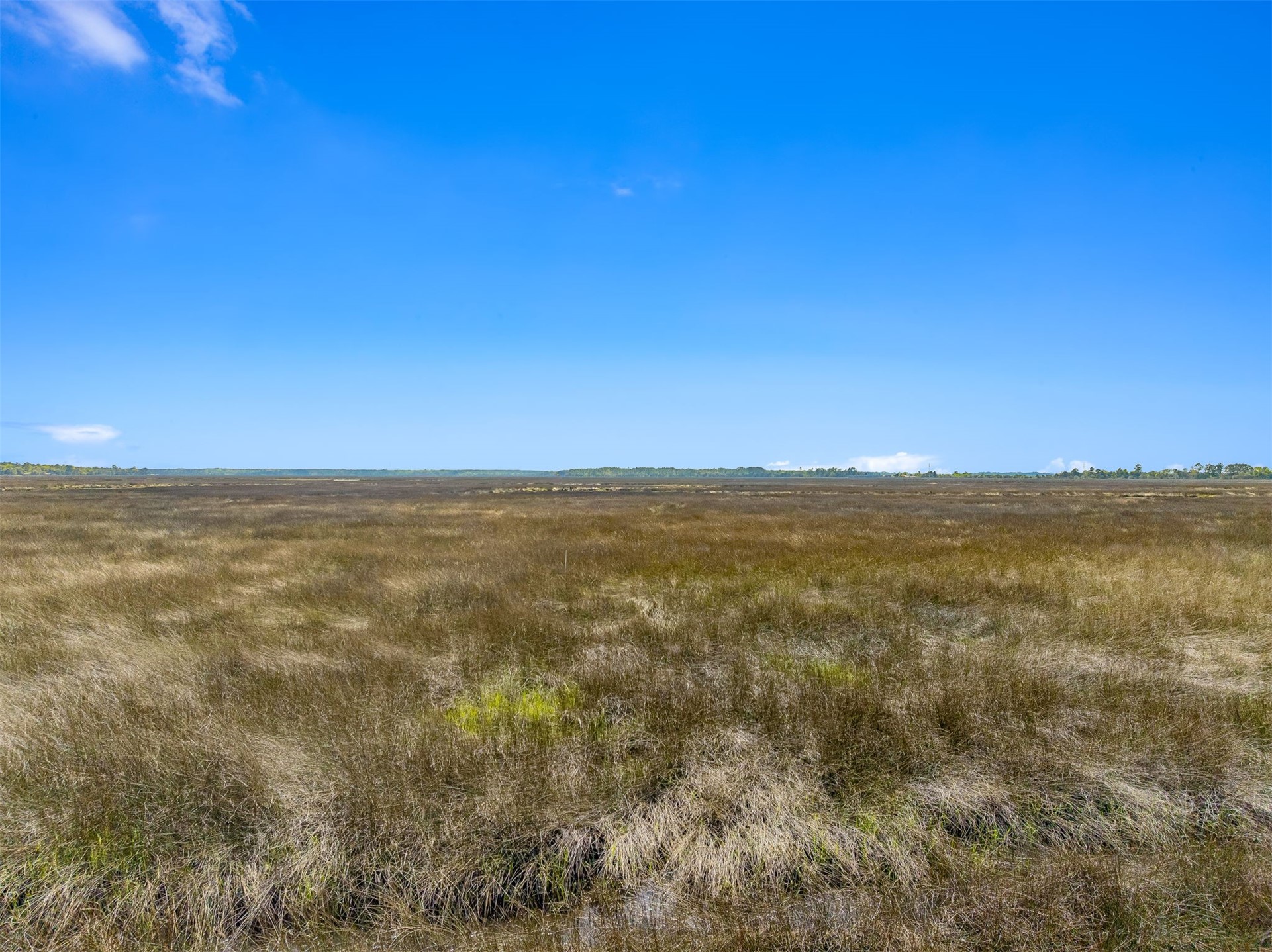 85373 Claxton Road Yulee, FL 32097 - Photo 21 of 38