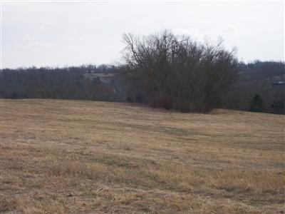 7941 Tates Creek Road Nicholasville, KY 40356 - Photo 2 of 7 One of the patch of woods.
