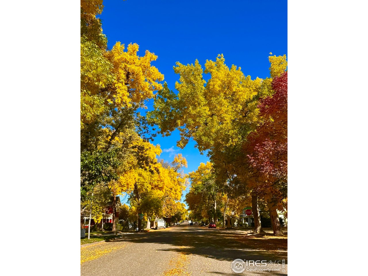 927 5th Street Berthoud, CO 80513 - Photo 32 of 35