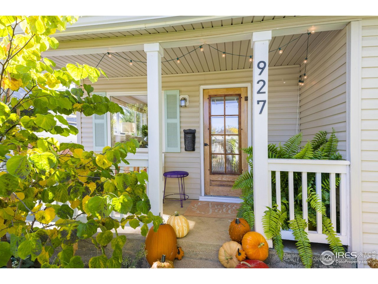 927 5th Street Berthoud, CO 80513 - Photo 4 of 35 a view of front door and potted plants