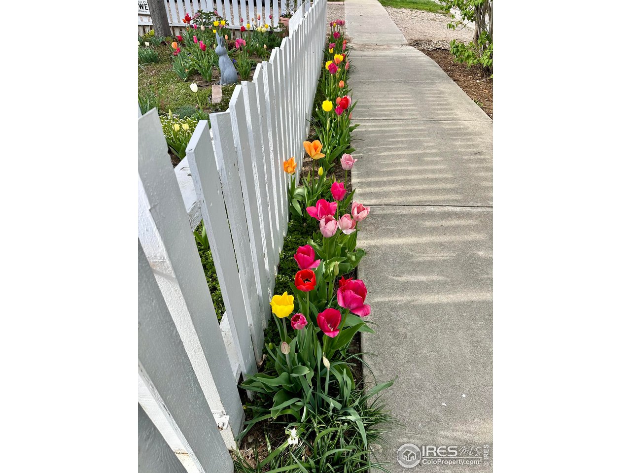 927 5th Street Berthoud, CO 80513 - Photo 7 of 35