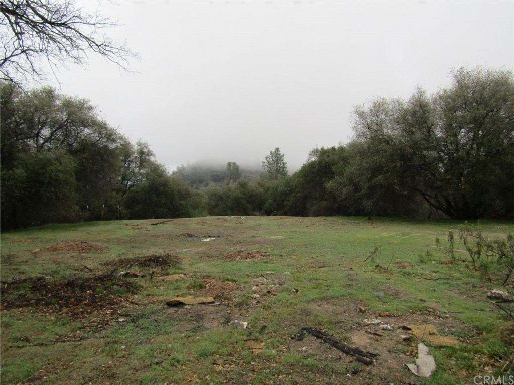 44669 Trabuco Road Coarsegold, CA 93614 - Photo 1 of 1 Gallery Image 1