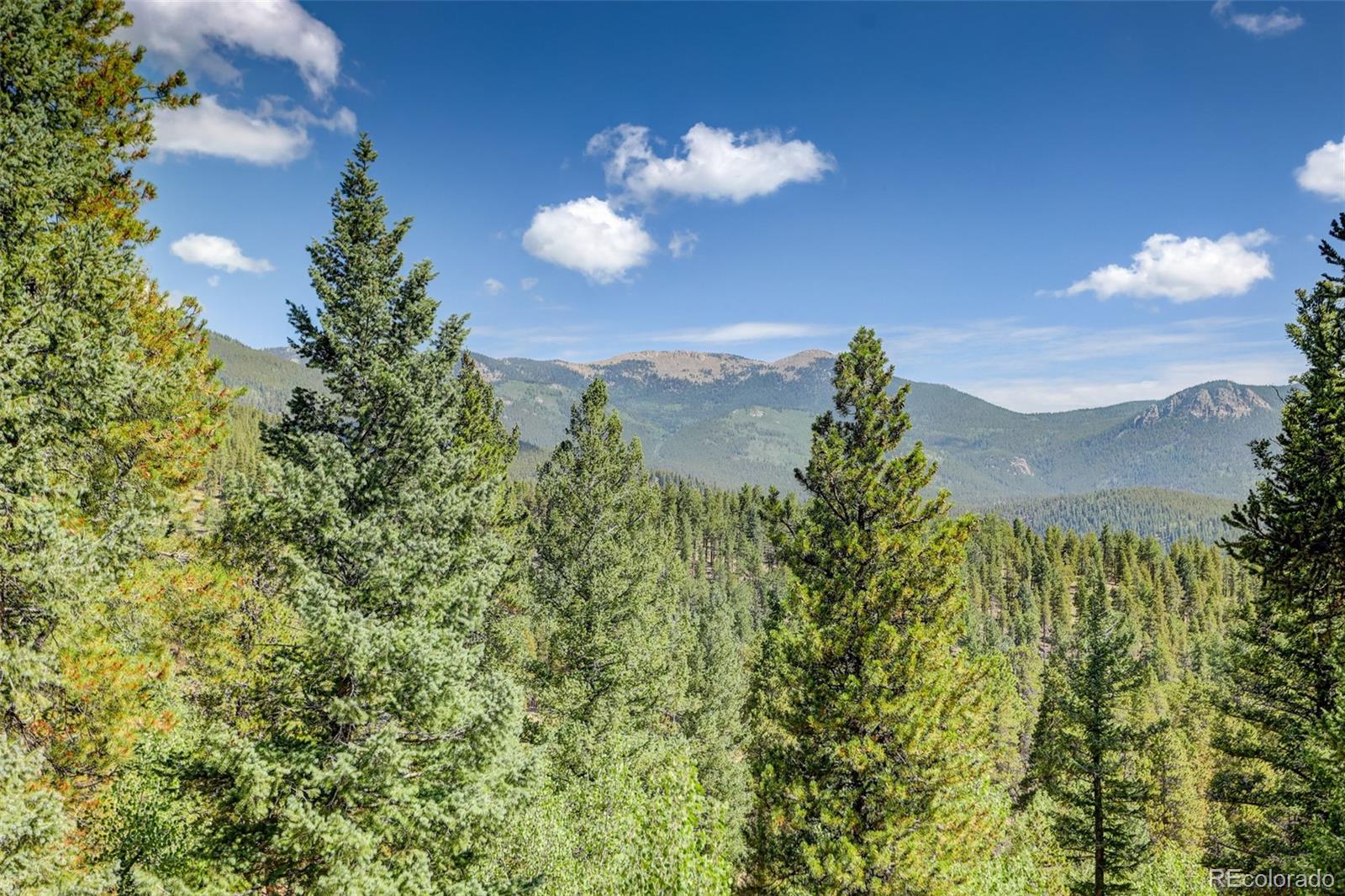 890 Royal Ridge Drive Bailey, CO 80421 - Photo 40 of 44 Gallery Image 40