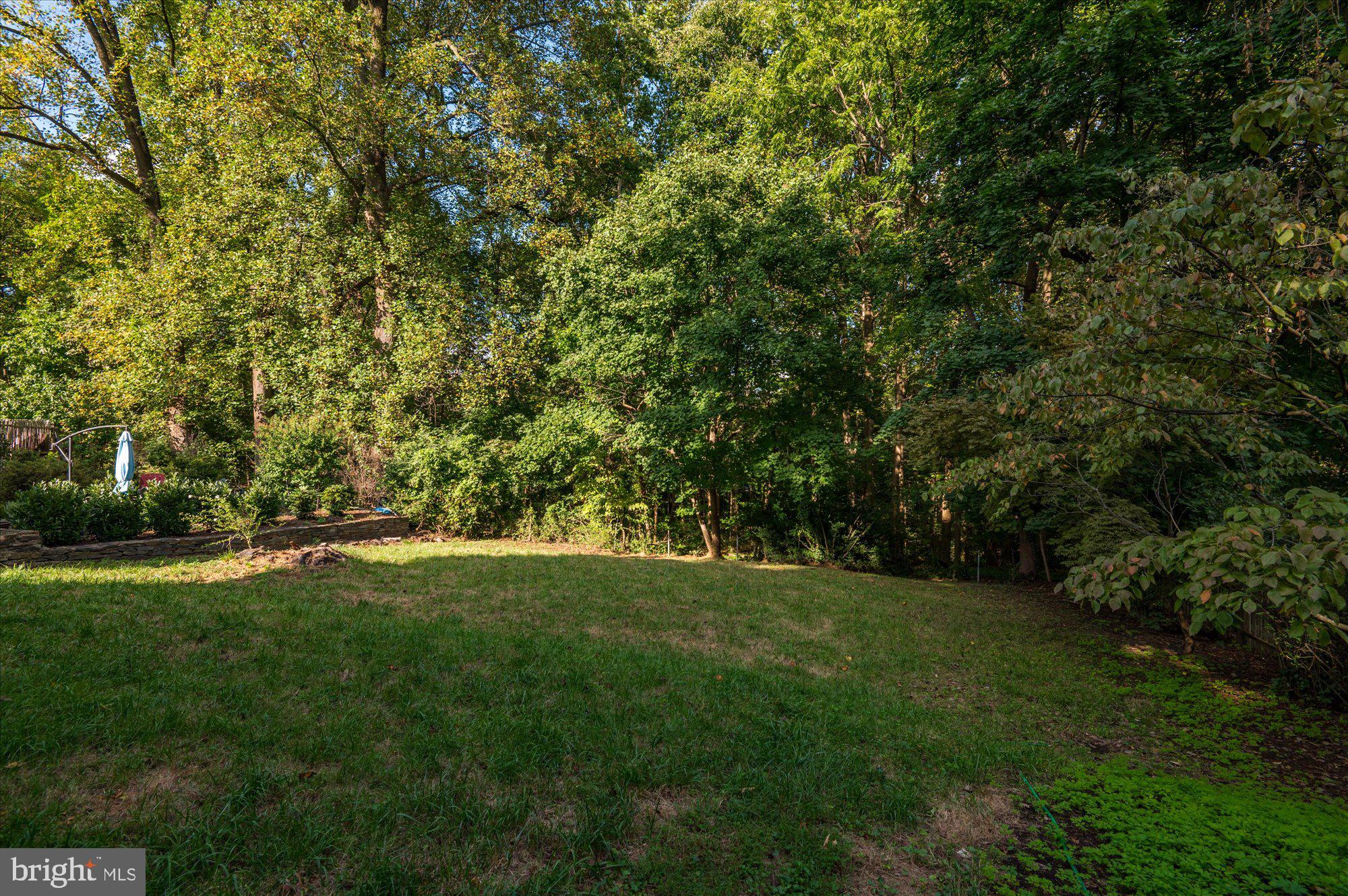 9334 Harvey Road Silver Spring, MD 20910 - Photo 48 of 53