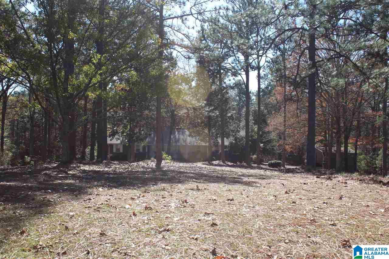 1711 Whittemore Road Jasper, AL 35503 - Photo 30 of 30