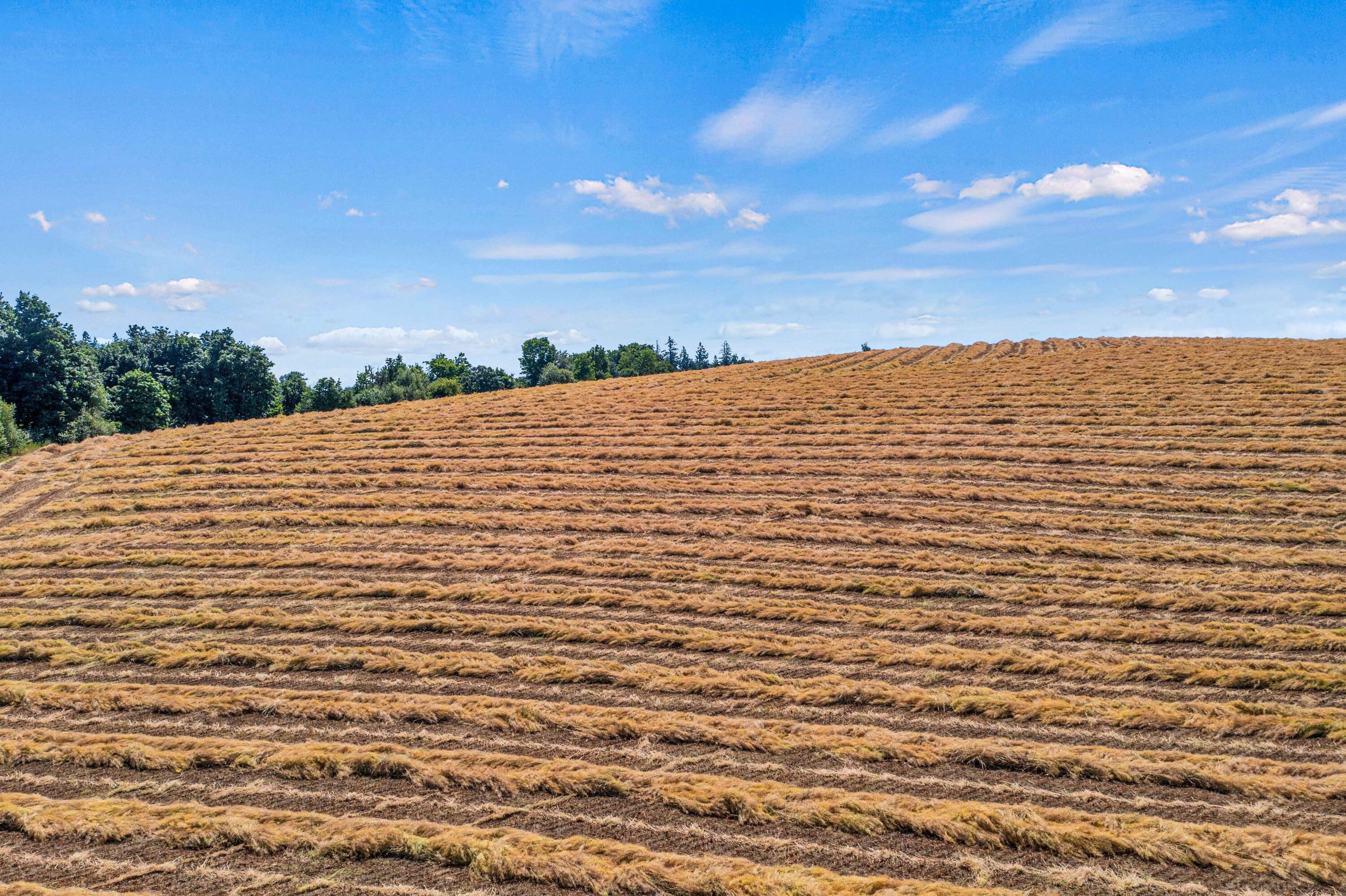 Anderson Road Northeast, Unit 100 Sublimity, OR 97385 - Photo 5 of 24 04DJI_0233