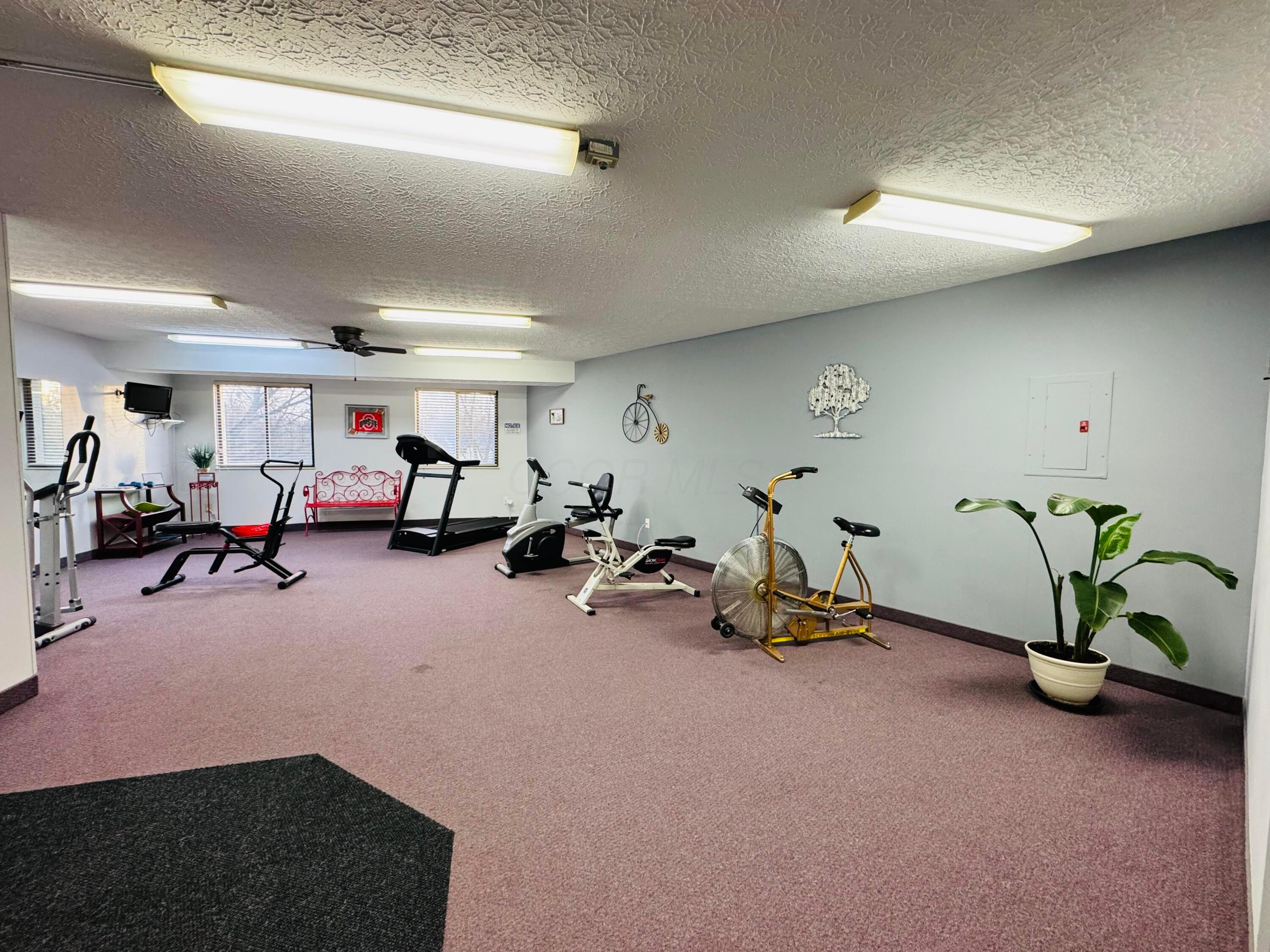 3939 Karl Road, Unit 306 Columbus, OH 43224 - Photo 24 of 24 IMG_7455