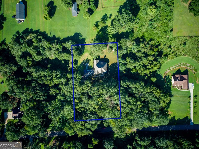 a view of a garden with plants