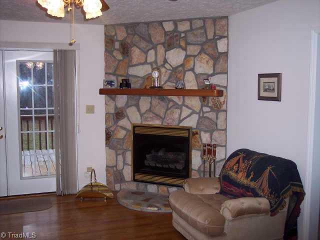 1095 Cold River Run Road Westfield, NC 27053 - Photo 3 of 6 Other.