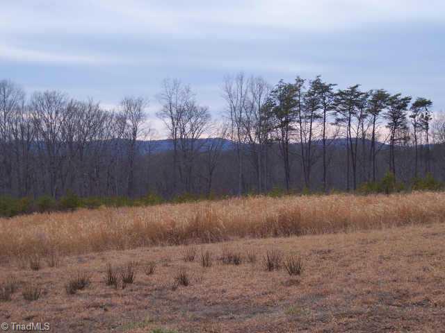 1095 Cold River Run Road Westfield, NC 27053 - Photo 5 of 6 Other.