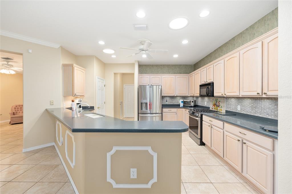 9019 Southeast 120th Loop Summerfield, FL 34491 - Photo 10 of 69 a kitchen with stainless steel appliances granite countertop a sink a stove a refrigerator and cabinets