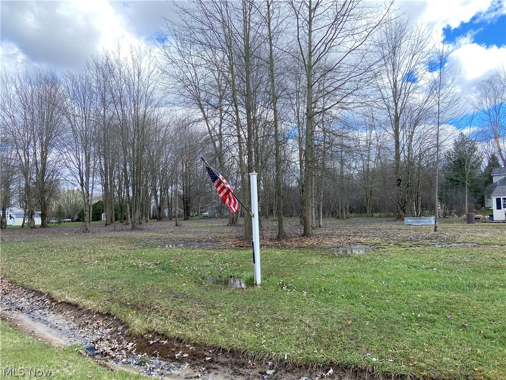 123 Roaming Way Rome, OH 44085 - Photo 13 of 17 View of yard