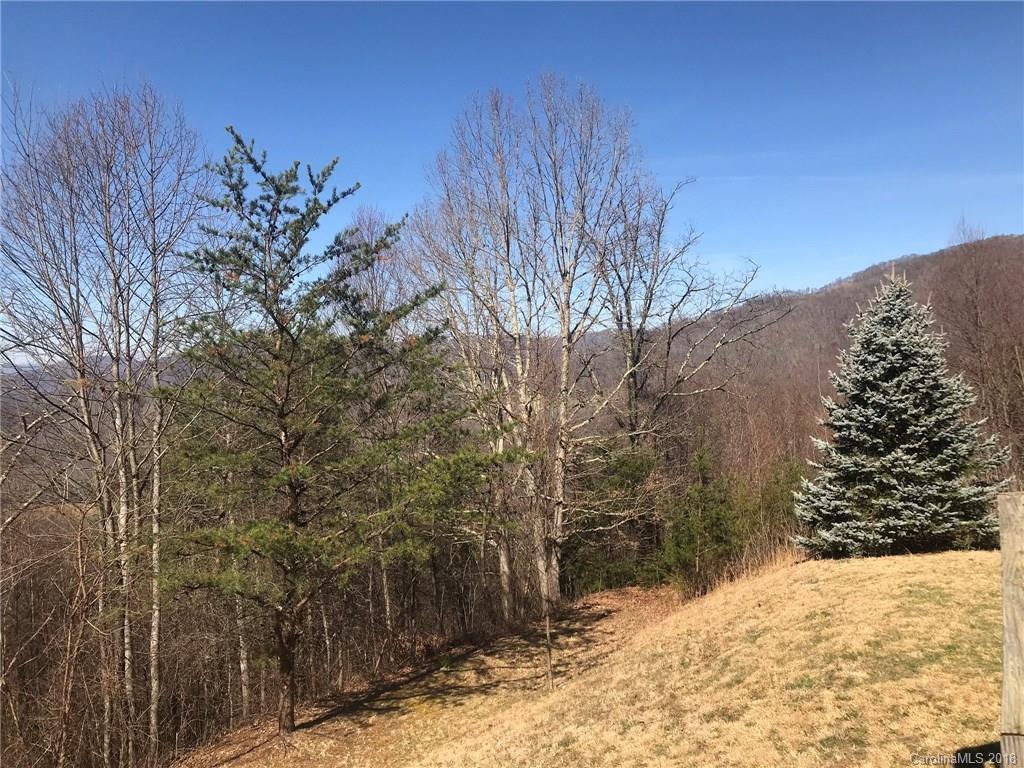 Lot 43 Hunters Ridge Drive Canton, NC 28716 - Photo 2 of 15 Gallery Image 2