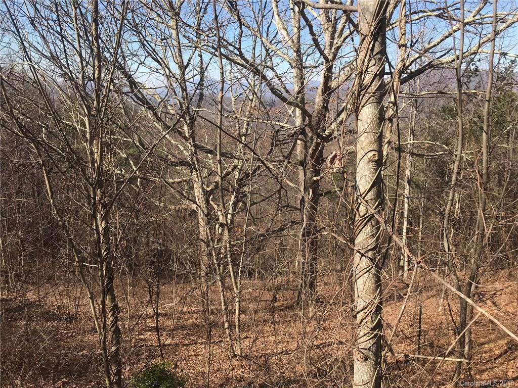 Lot 43 Hunters Ridge Drive Canton, NC 28716 - Photo 11 of 15 Gallery Image 11