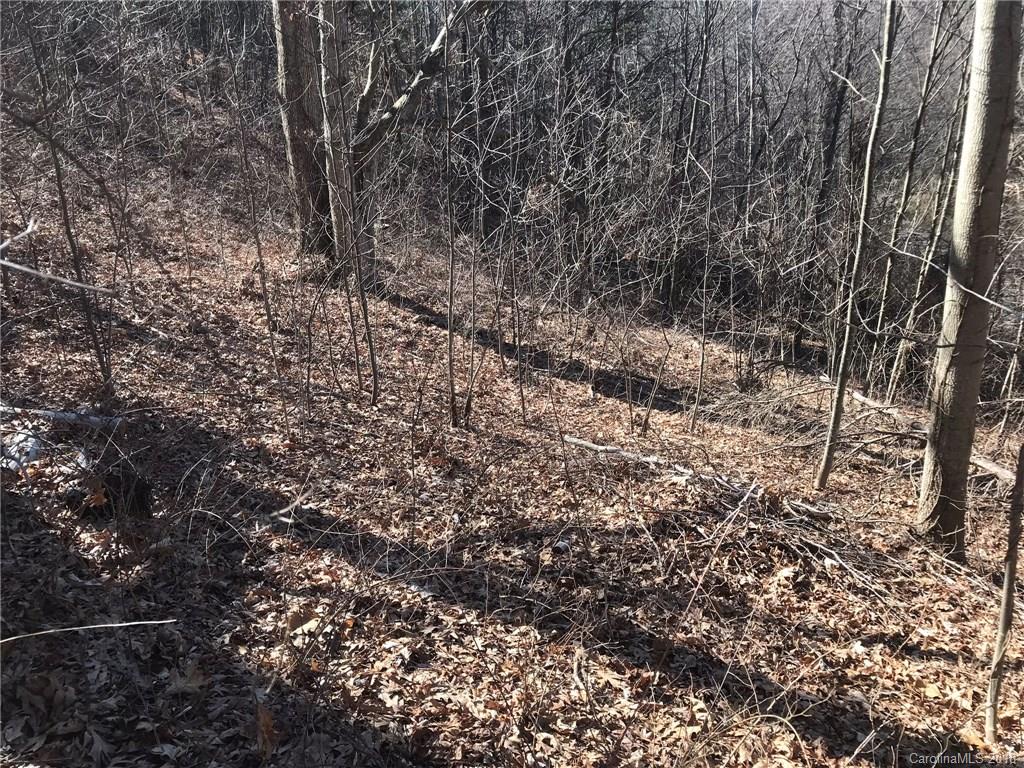 Lot 43 Hunters Ridge Drive Canton, NC 28716 - Photo 12 of 15 Gallery Image 12