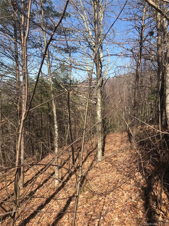 Lot 43 Hunters Ridge Drive Canton, NC 28716 - Photo 14 of 15 Gallery Image 14