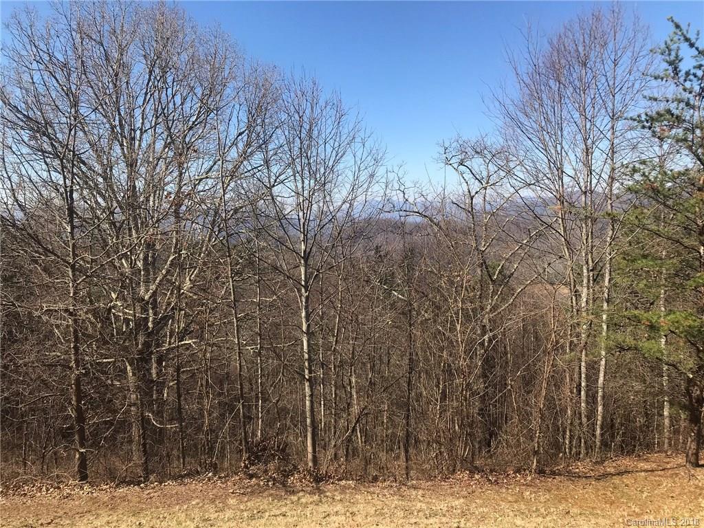 Lot 43 Hunters Ridge Drive Canton, NC 28716 - Photo 6 of 15 Gallery Image 6