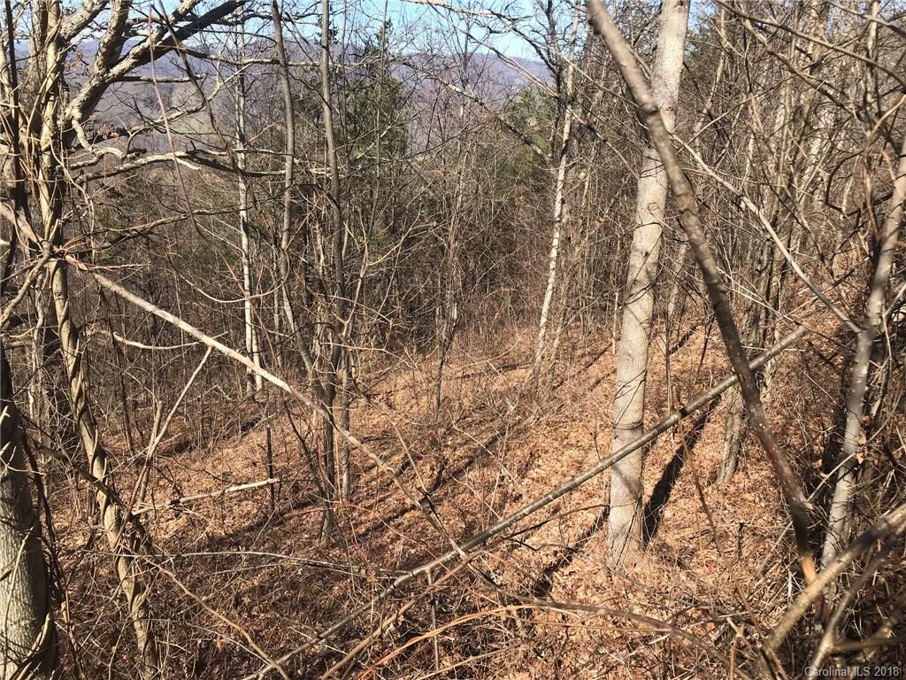 Lot 43 Hunters Ridge Drive Canton, NC 28716 - Photo 10 of 15 Gallery Image 10