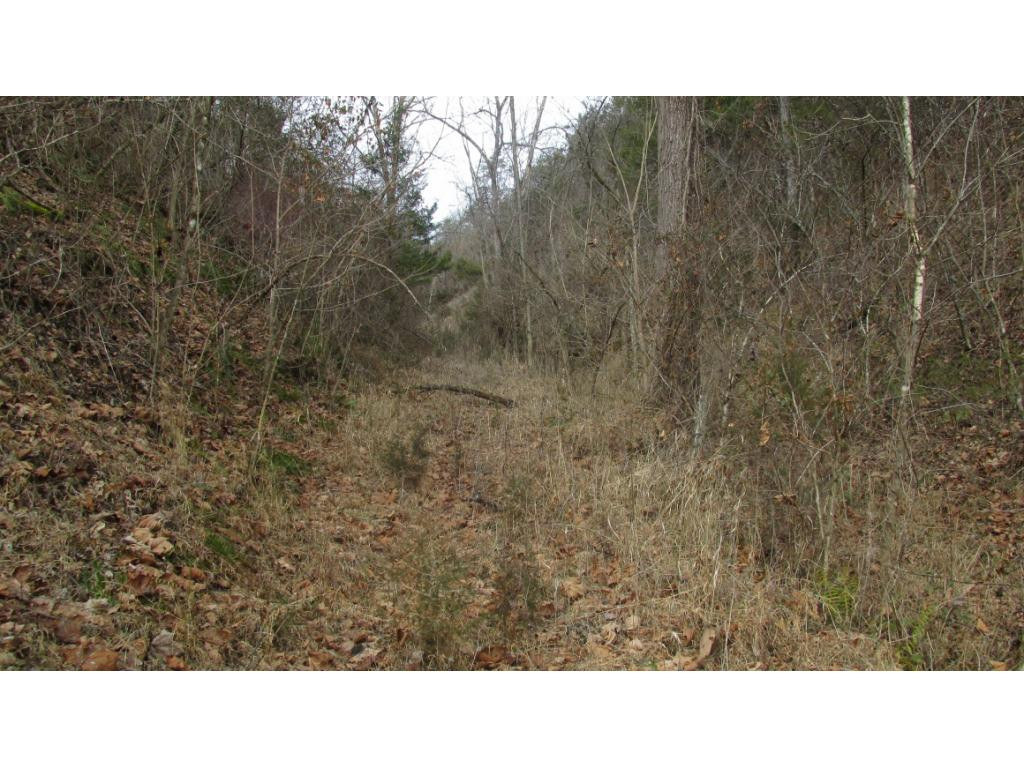 0 Humphreys Road Watauga, TN 37694 - Photo 6 of 9 Photo 6