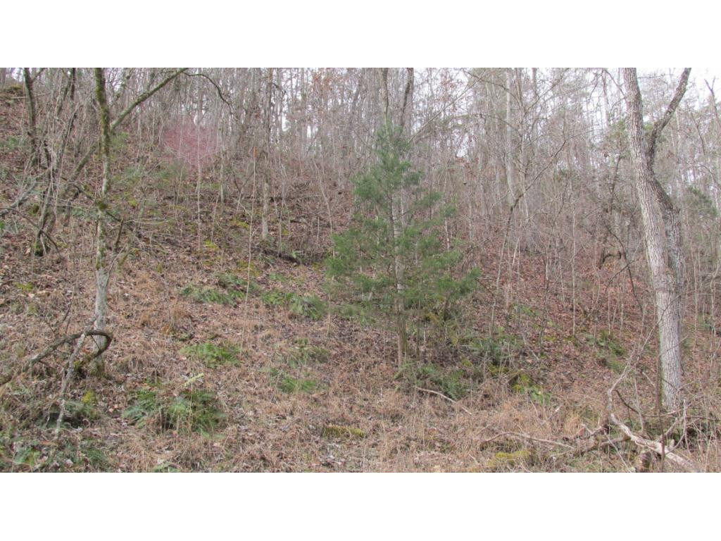 0 Humphreys Road Watauga, TN 37694 - Photo 9 of 9 Photo 9