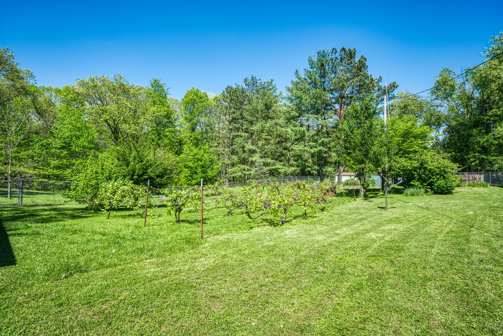 945 Flat Rock Road Jamestown, TN 38556 - Photo 28 of 39 Gallery Image 28