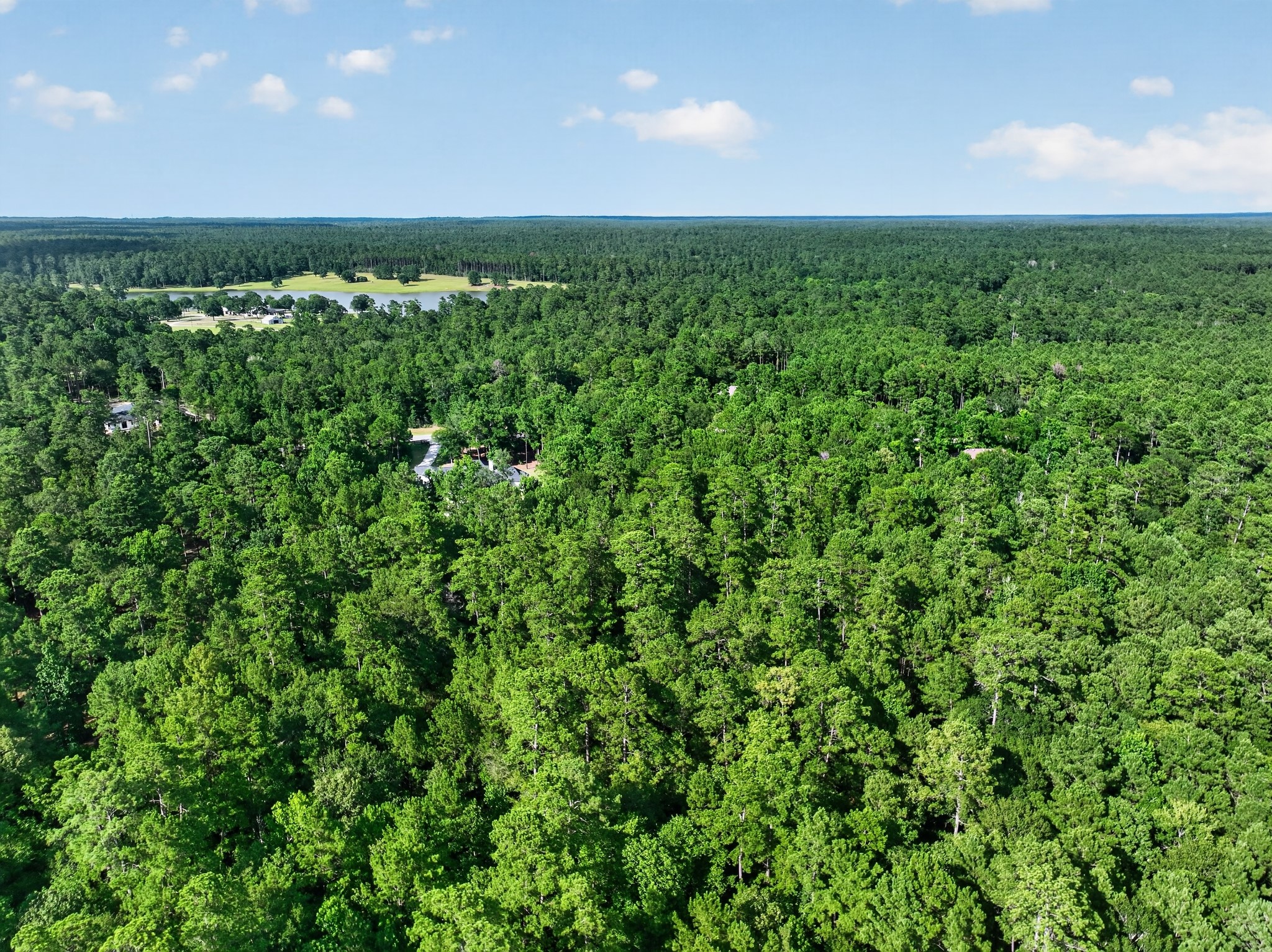 Tbd Branding Iron Road Huntsville, TX 77340 - Photo 13 of 16 Gallery Image 13
