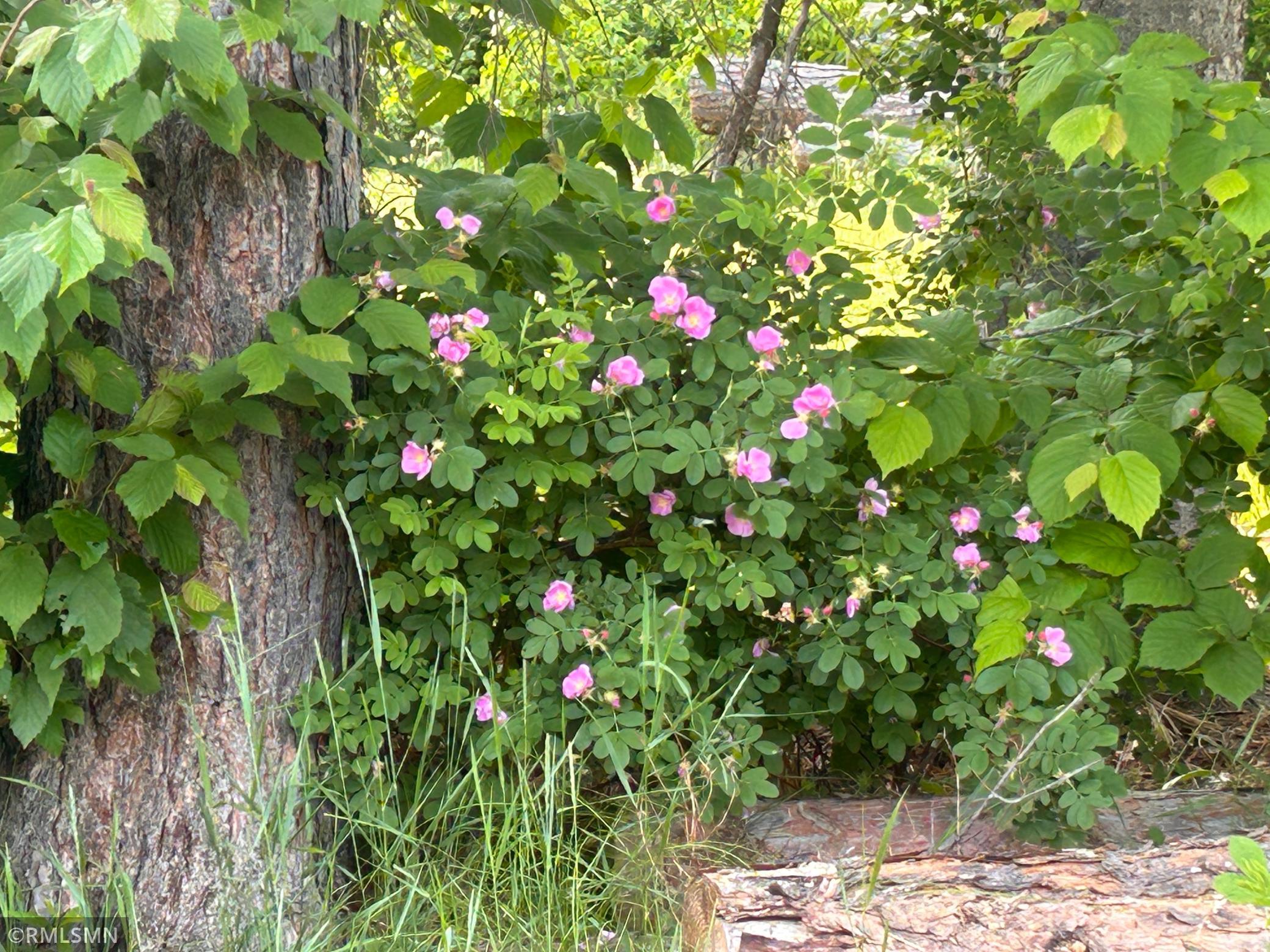 2101 Frohn Road Northeast Bemidji, MN 56601 - Photo 82 of 82