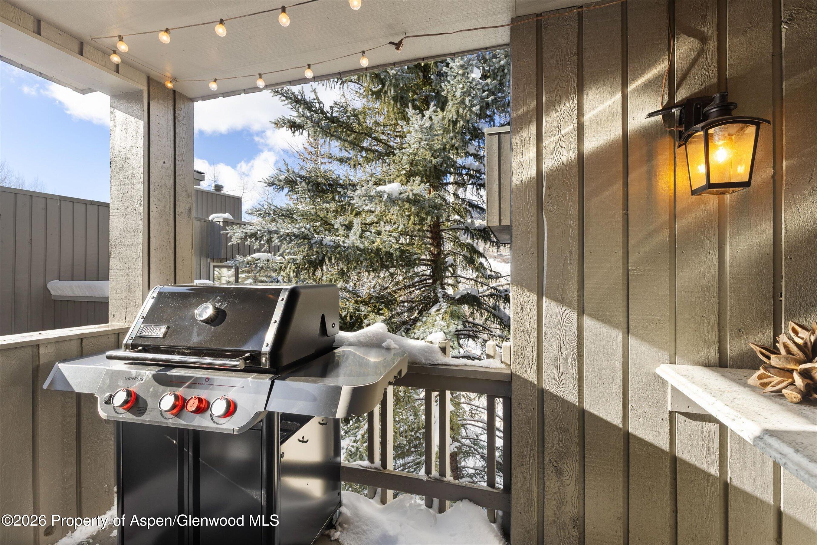 221 Meadow Ranch Road, Unit D4A Snowmass Village, CO 81615 - Photo 33 of 34 Terrace off Dining