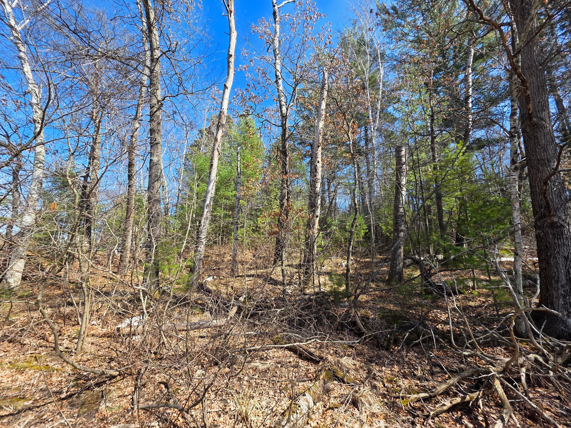 10023 Point O Pines Road Tomahawk, WI 54487 - Photo 24 of 25 Gallery Image 24