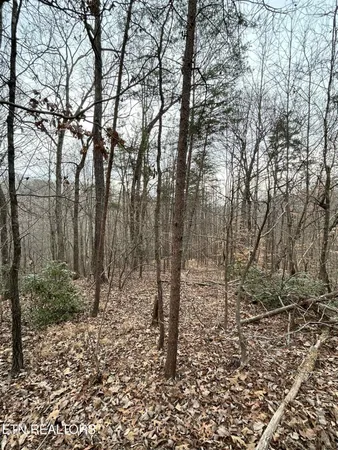 $38,900 | Ten Mile Tn 37880 Drive, Ten Mile, TN 37880