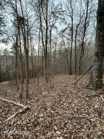 $38,900 | Ten Mile Tn 37880 Drive, Ten Mile, TN 37880