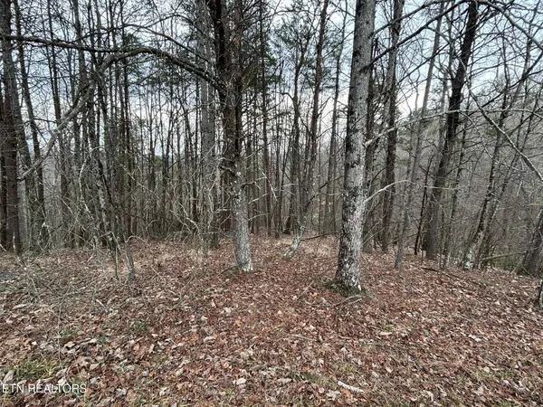 $38,900 | Ten Mile Tn 37880 Drive, Ten Mile, TN 37880