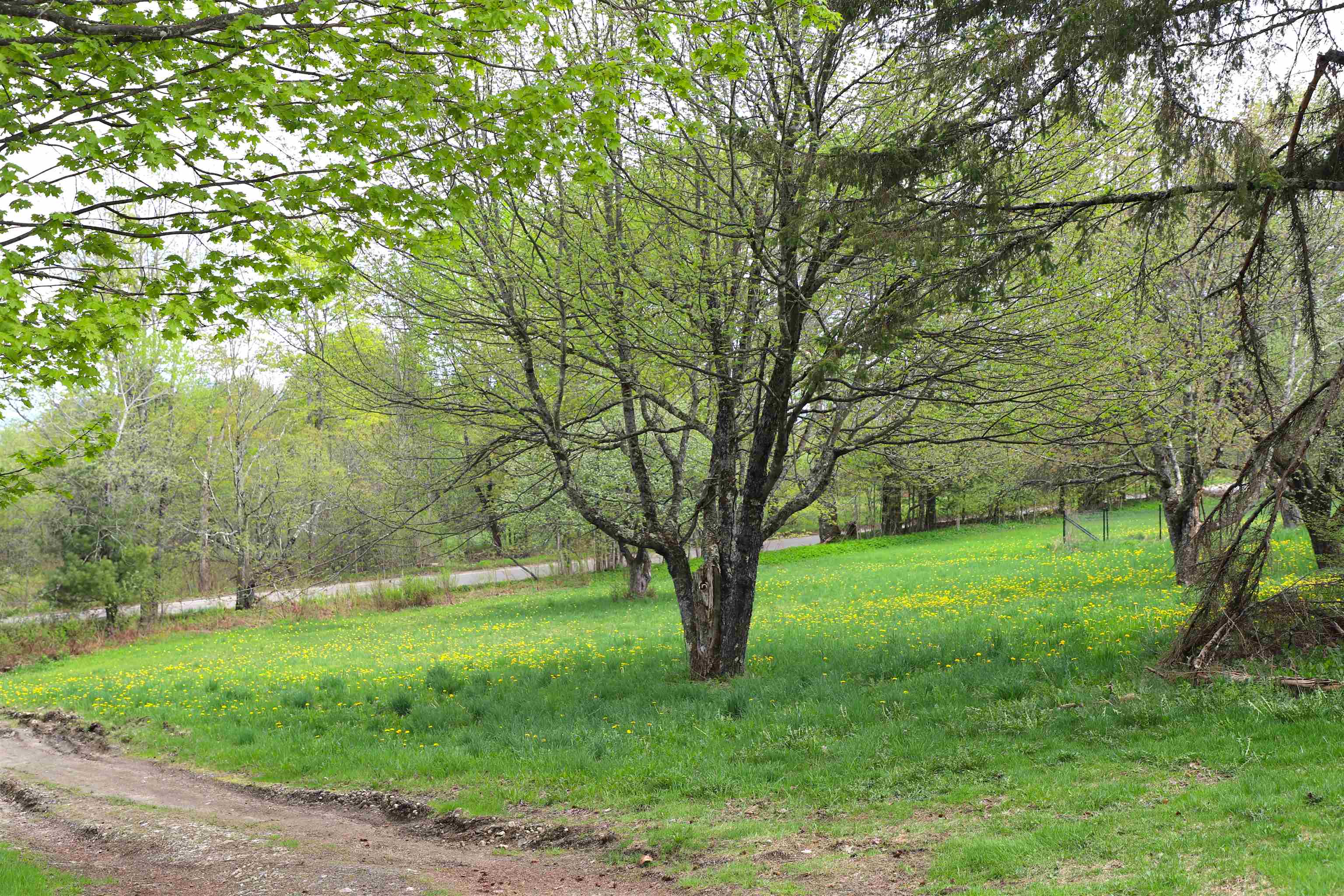 1760 Wheelock Road Sutton, VT 05867 - Photo 42 of 47