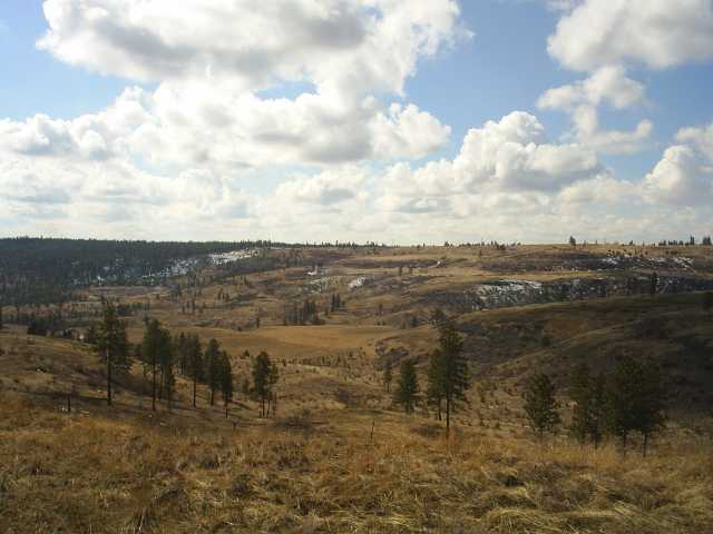 7007 North Prairie Crest Road Spokane, WA 99224 - Photo 1 of 8