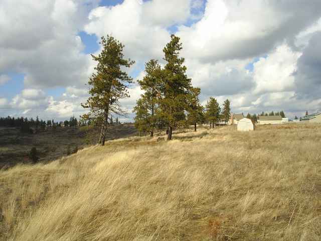 7007 North Prairie Crest Road Spokane, WA 99224 - Photo 2 of 8