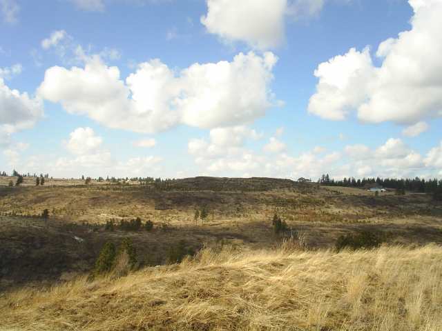 7007 North Prairie Crest Road Spokane, WA 99224 - Photo 3 of 8