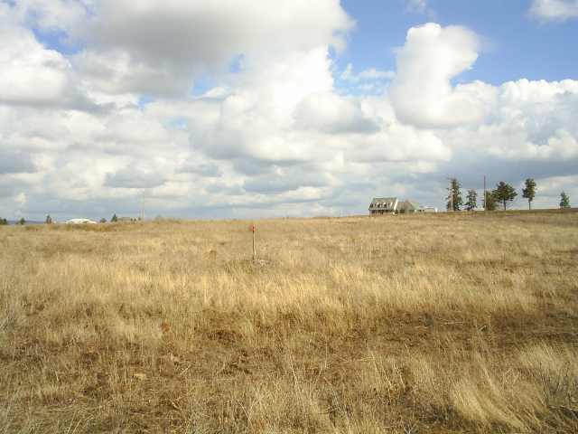 7007 North Prairie Crest Road Spokane, WA 99224 - Photo 4 of 8