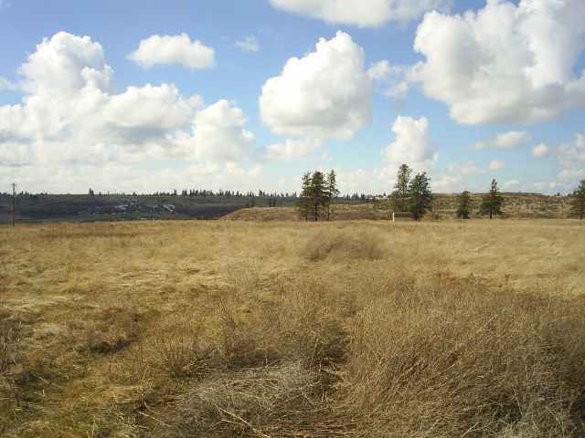 7007 North Prairie Crest Road Spokane, WA 99224 - Photo 6 of 8